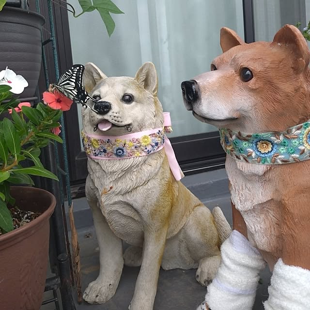 NOAHさんの実例写真
