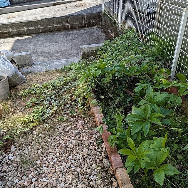 chi_gogaさんの部屋