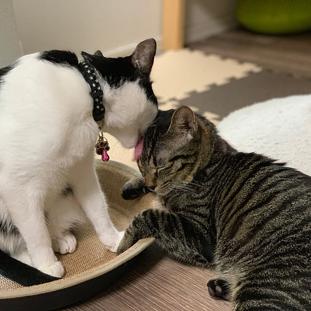 kanameさんの実例写真