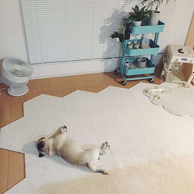 YUIさんの実例写真