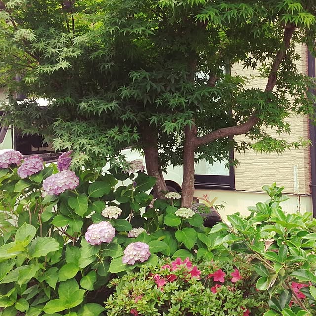 kao3さんの実例写真