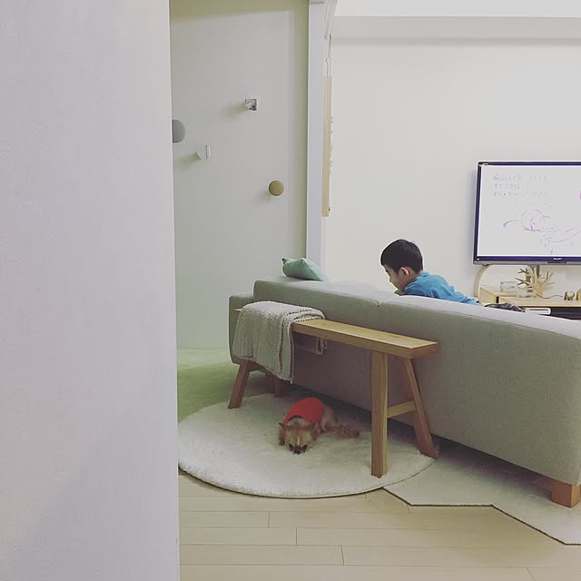 haruhinaさんの実例写真