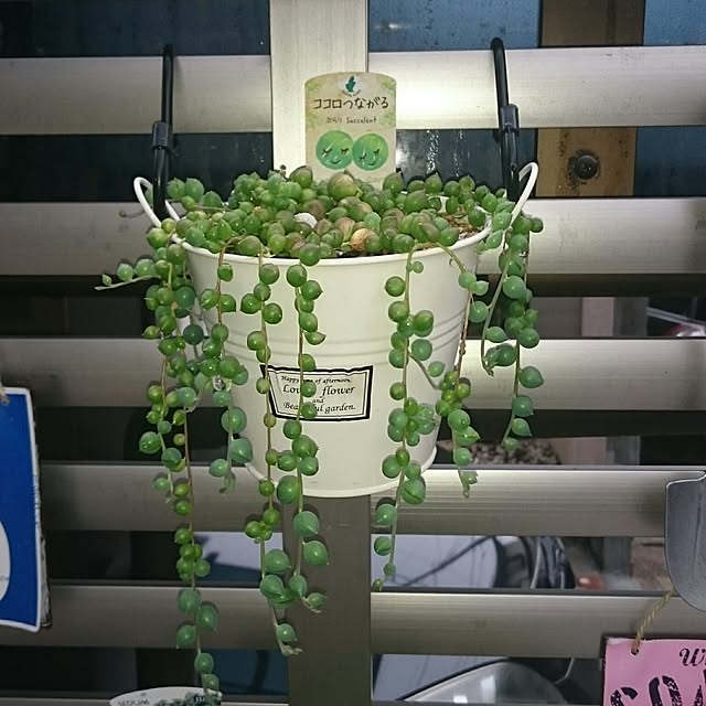 hideさんの実例写真