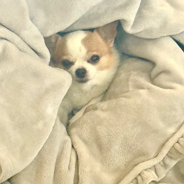 cocoさんの実例写真