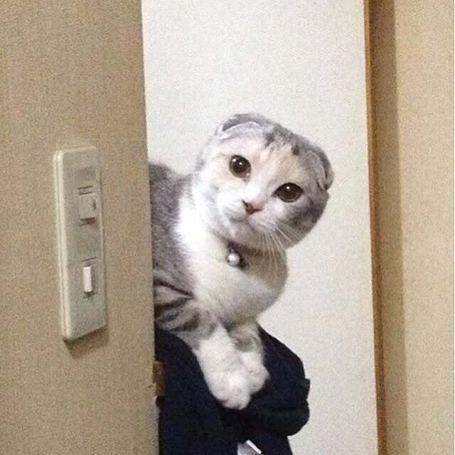 mtkさんの実例写真