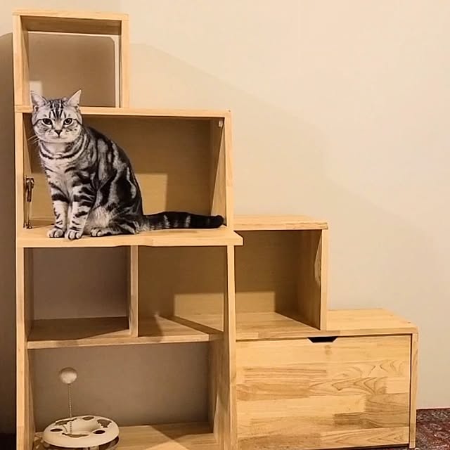 lovepeaceさんの部屋