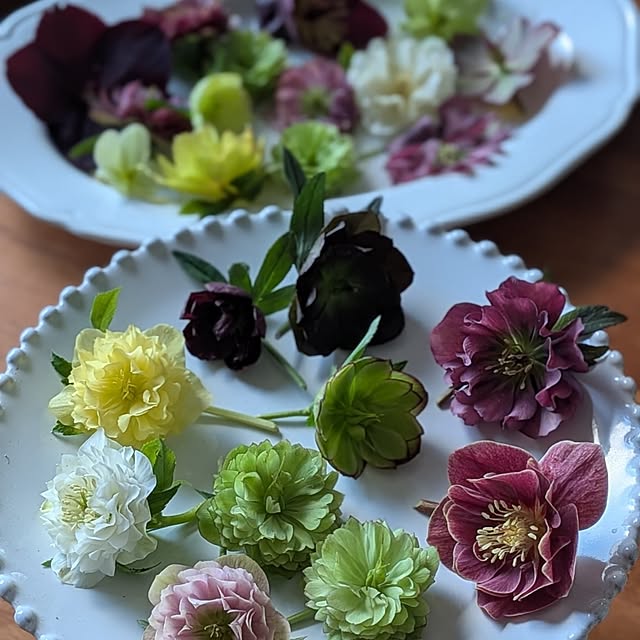 nolleyさんの部屋