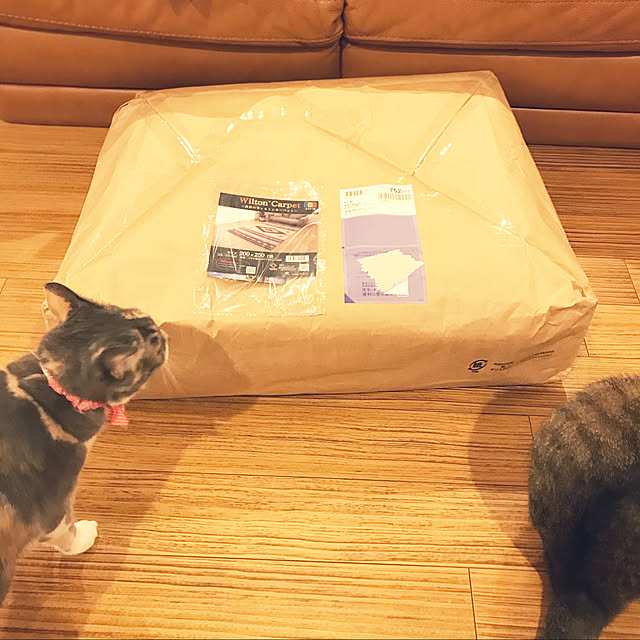 yoshibuさんの実例写真