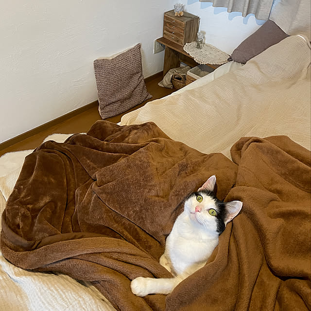 harukaさんの実例写真