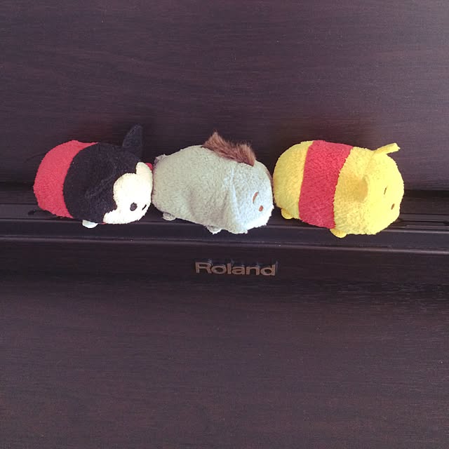usakoさんの実例写真