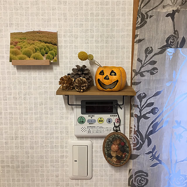 niconさんの実例写真