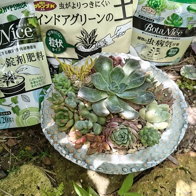 yuuさんの部屋