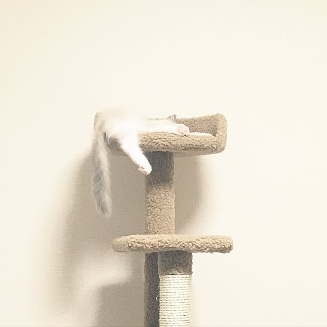 rbesfさんの実例写真