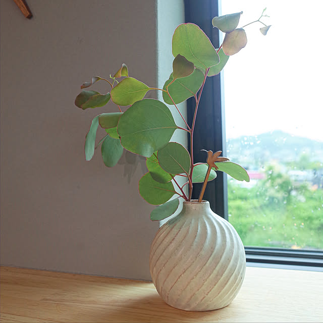 ss.my_homeさんの実例写真