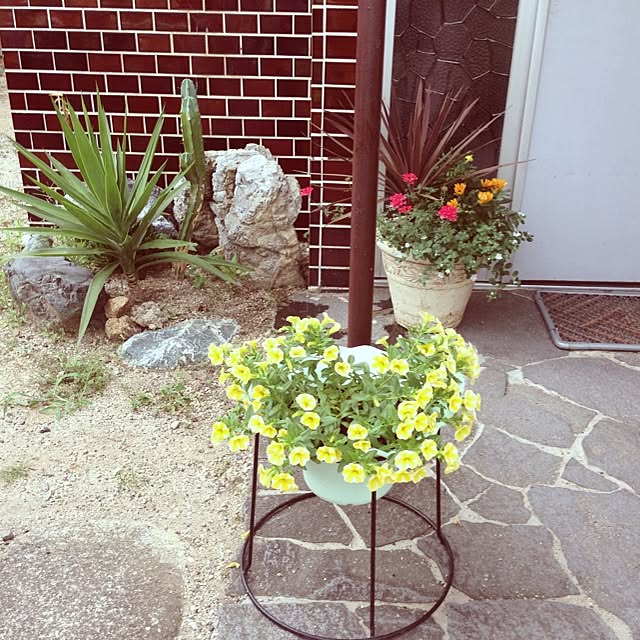 pino117さんの実例写真