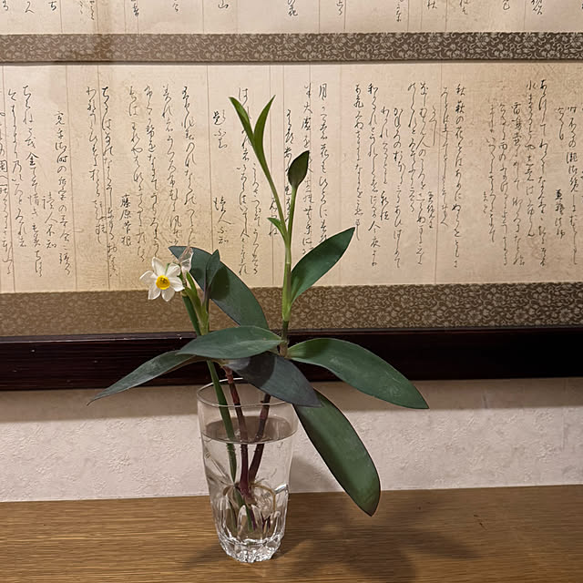 mamizaさんの部屋