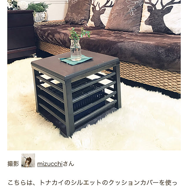 mizucchiさんの実例写真