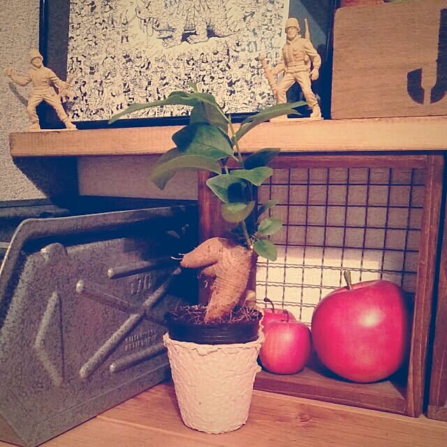 naonao70さんの実例写真