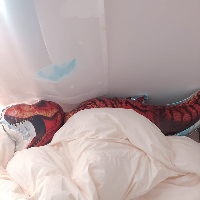 Mikeさんの実例写真