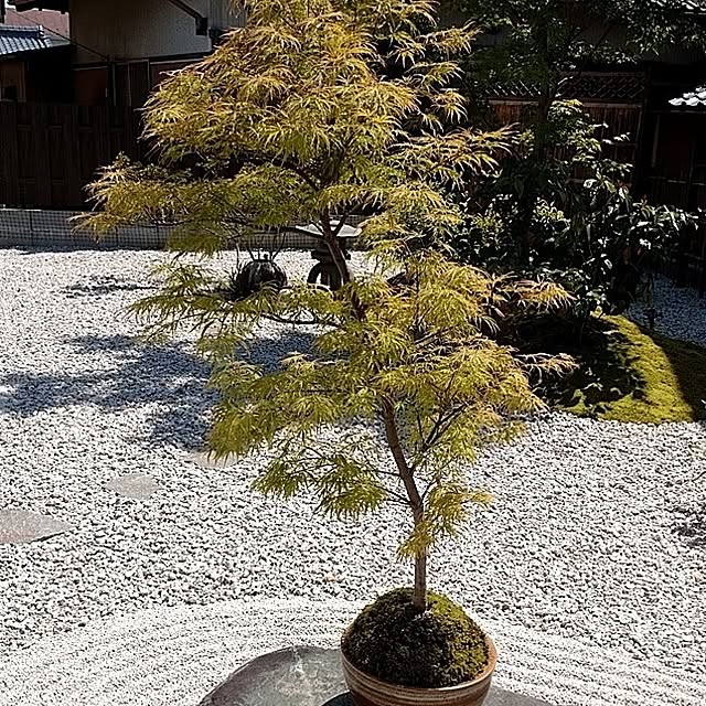 5160ksさんの部屋