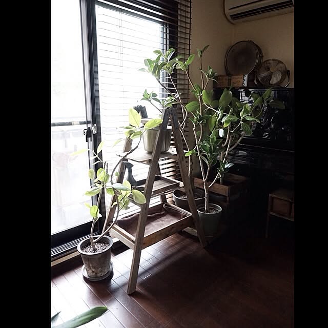 jnkaiさんの実例写真