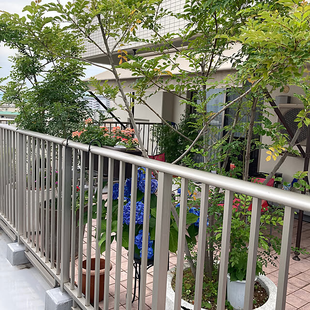 minmiさんの実例写真