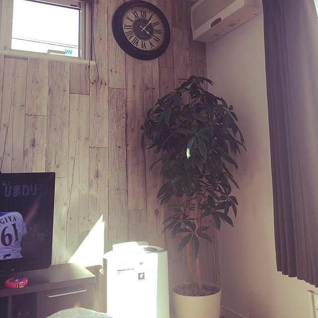 Manamiさんの実例写真