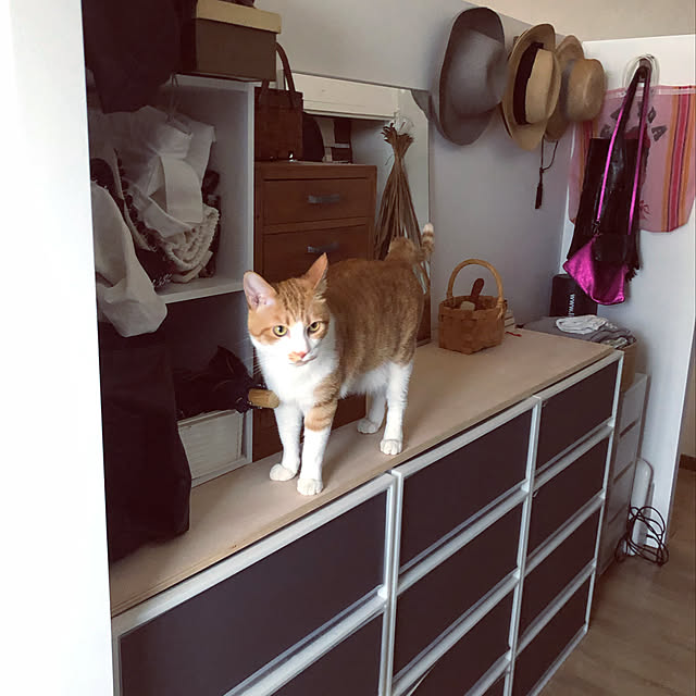 lalaさんの実例写真