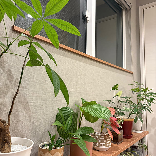 ikuzakさんの部屋