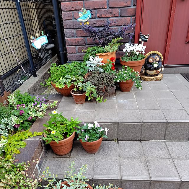 buuさんの実例写真