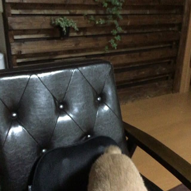 mikan161さんの実例写真