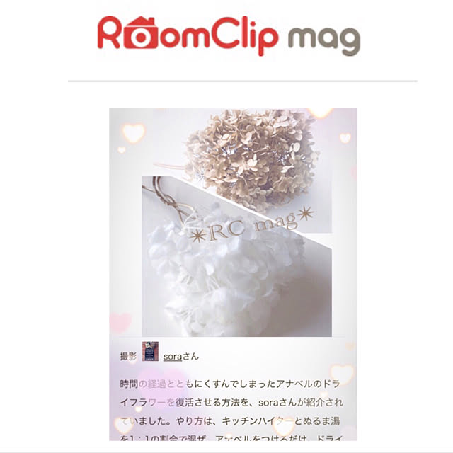 soraさんの実例写真