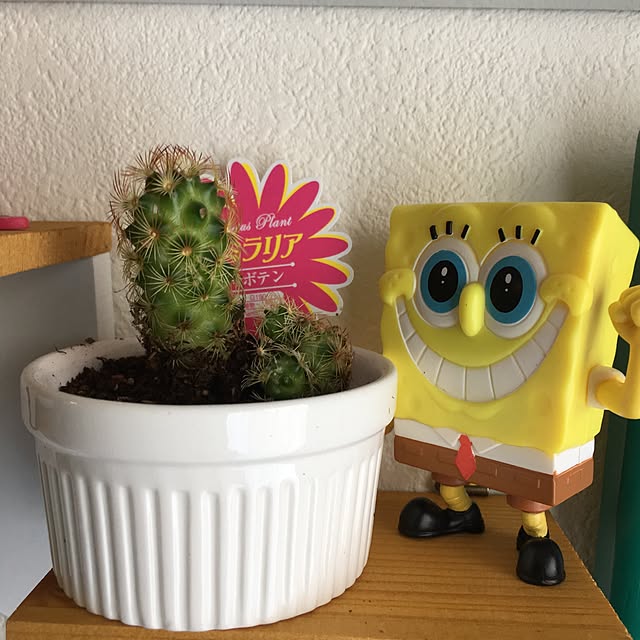 POTさんの実例写真