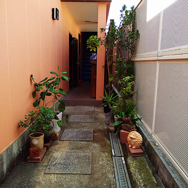michi1206さんの実例写真