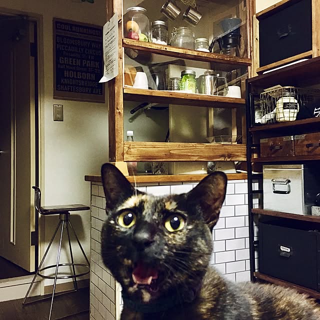 Gouさんの実例写真