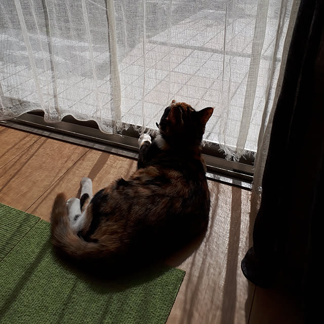 aiさんの実例写真