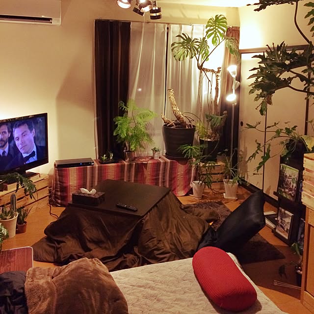 Taketoさんの実例写真