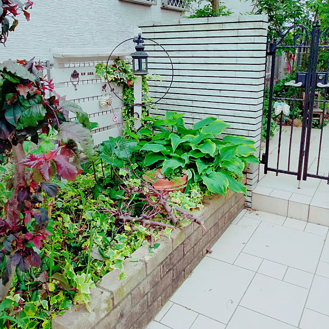 chocoさんの実例写真