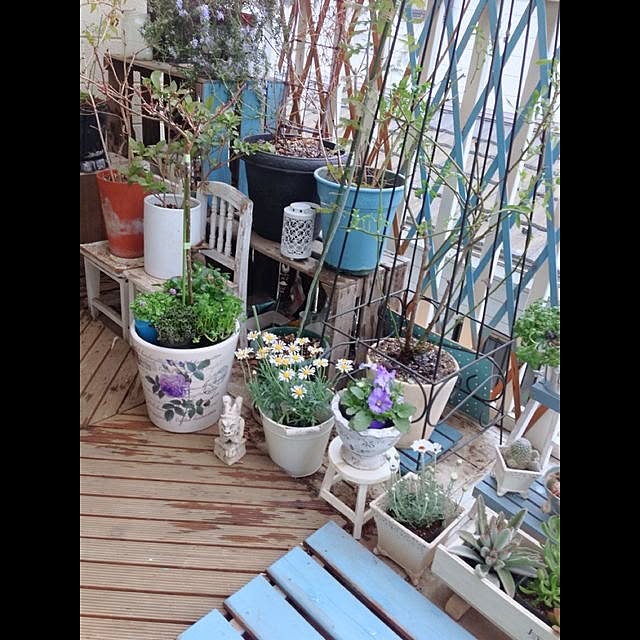 naokirisimaさんの実例写真