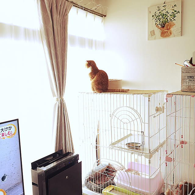 kumingさんの実例写真