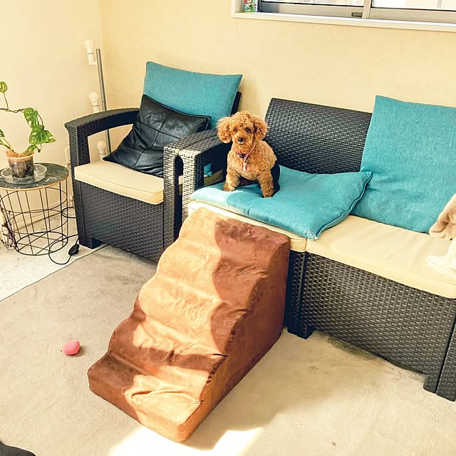 MOMOMAMAさんの実例写真