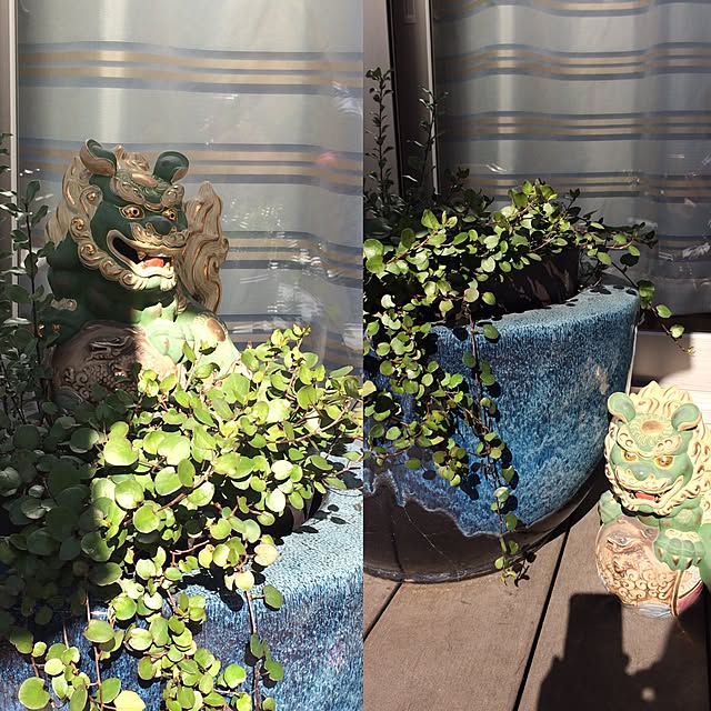 kimuraruさんの実例写真