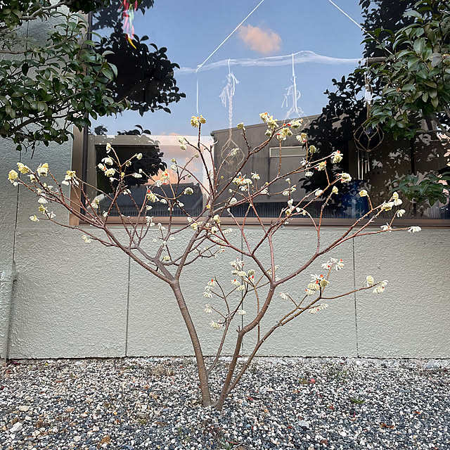 shin0719さんの部屋