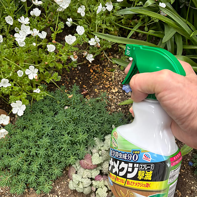 momocchiさんの部屋