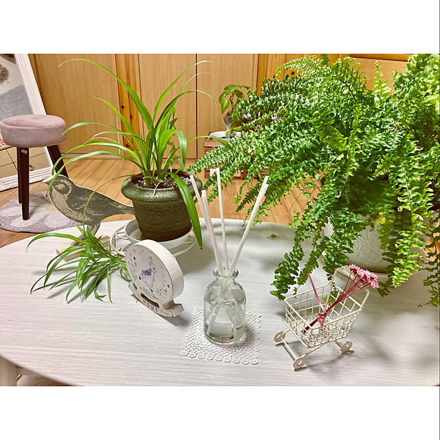 CoCo0617さんの部屋