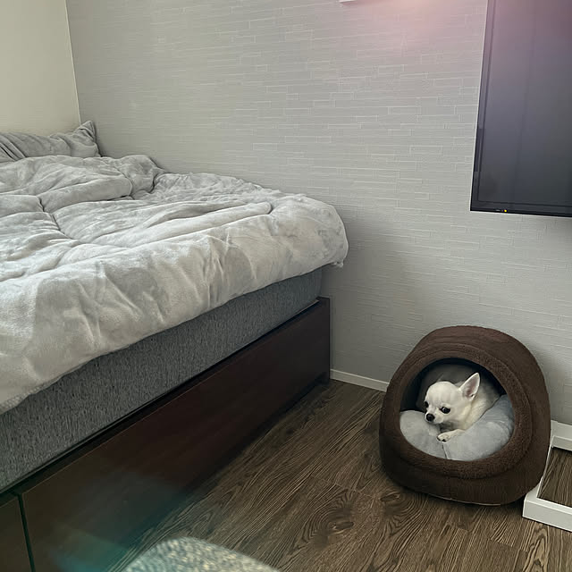 aoipisuke1010さんの実例写真