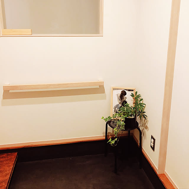 misakiさんの実例写真