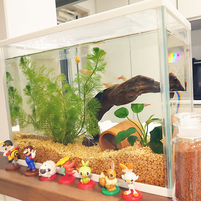 kanohaさんの実例写真
