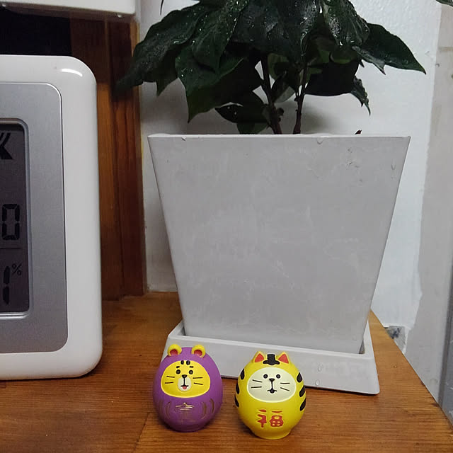 jiro19さんの実例写真