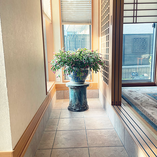 kuikoさんの部屋